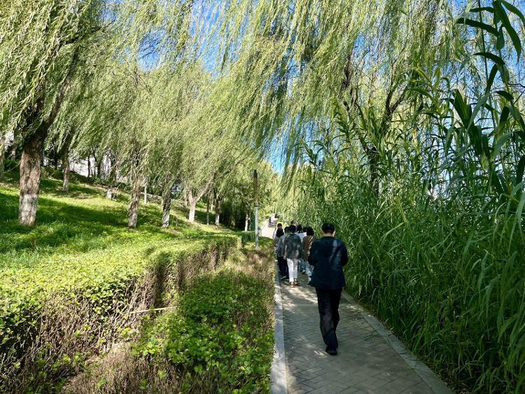 霸州牤牛河图片