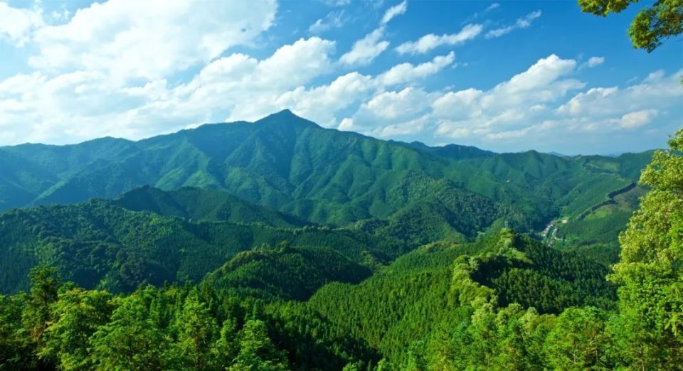 这个夏天,你来韶关"city"了吗?