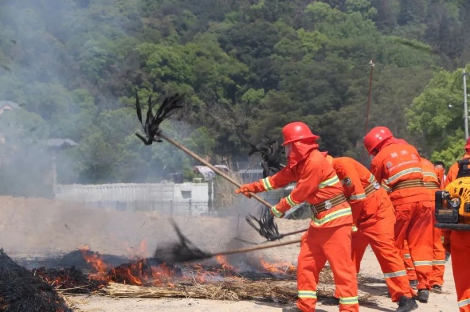 以"演"筑防丨联合灭火实战演练 淬炼森林灭火"硬实力"_腾讯新闻