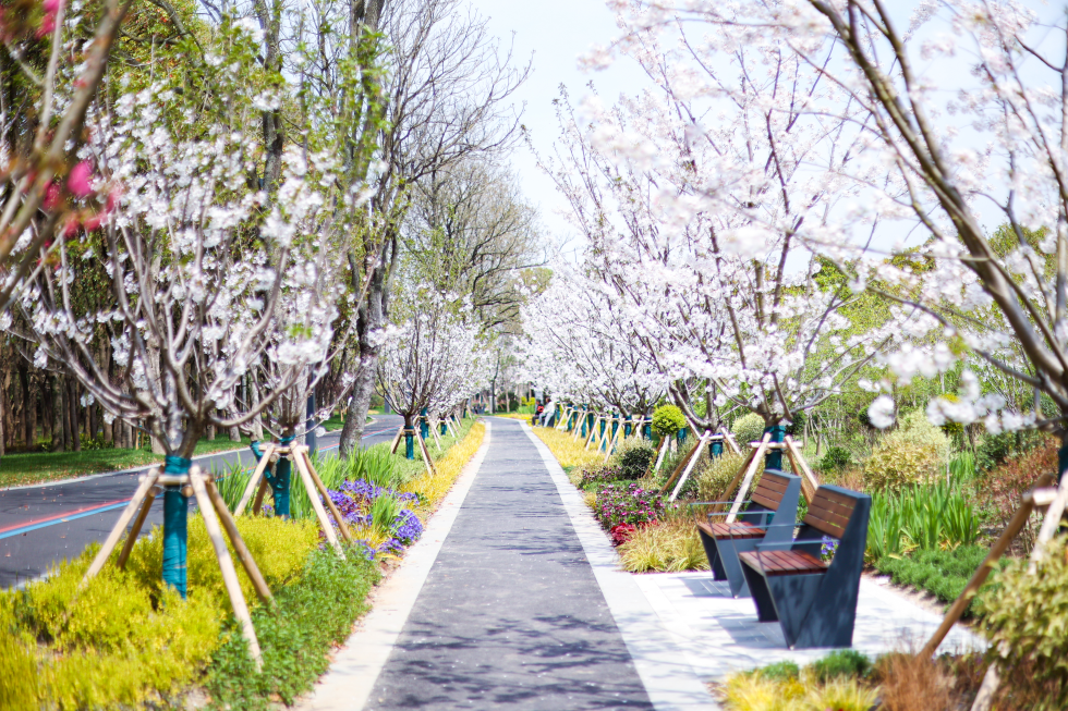 浦东这7颗"环上明珠",抢先赏春打卡走起_腾讯新闻