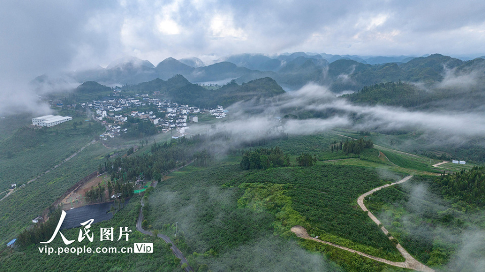 近年来,西畴县大力推进生态文明建设,在石漠化山区建成国家石漠公园
