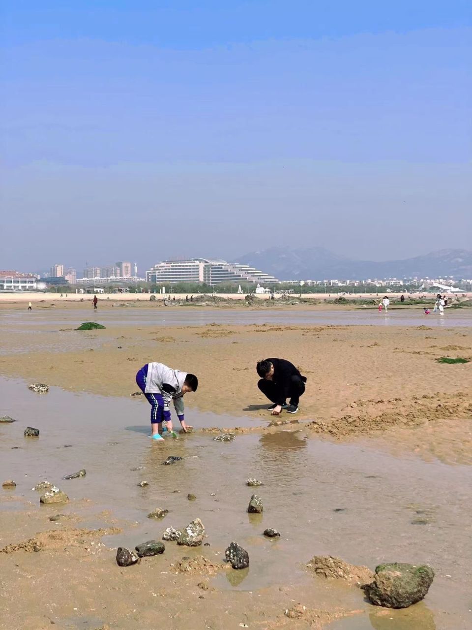 日照赶海n次,过来人告诉你如何赶海