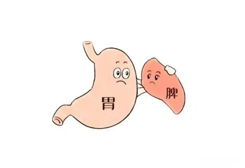 脾胃虚弱有何表现，如何调理？丨健康总动员_腾讯新闻