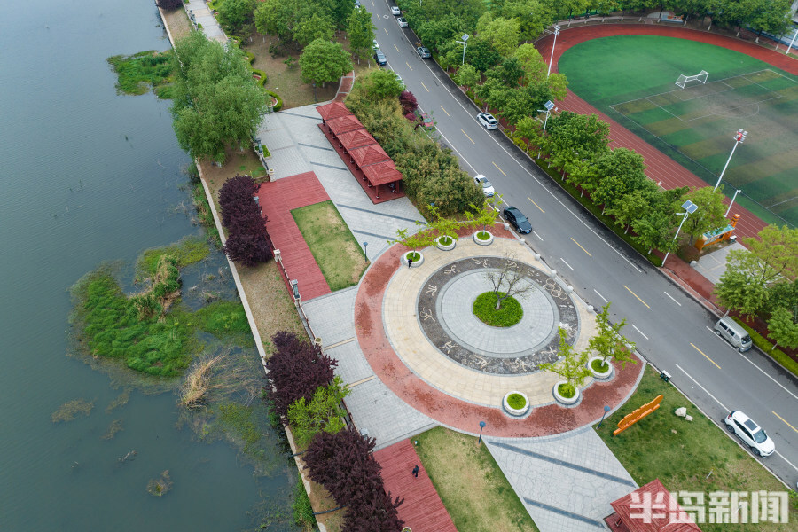 5月5日,城阳区白沙河运动公园里一片绿意浓浓的动人景象.