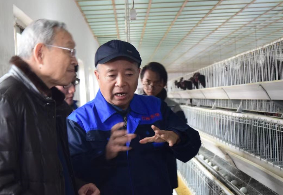 徐建生四十载坚守书写东乡华绿神蛋传奇