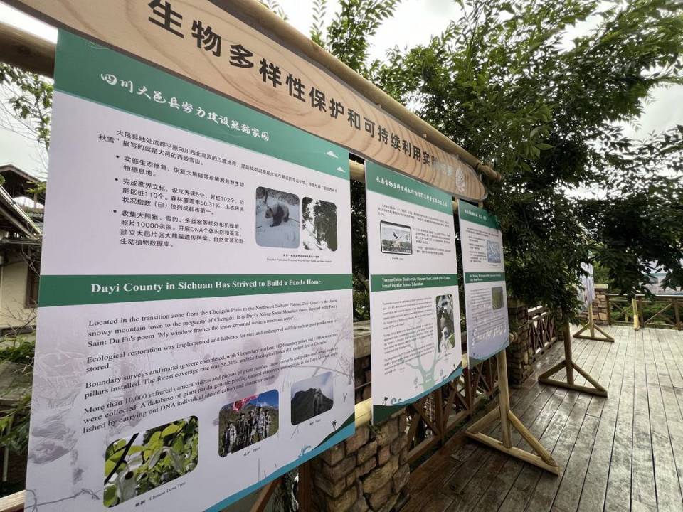 环境部生态司司长张玉军:我们是生物多样性受益者 也应当都是参与者