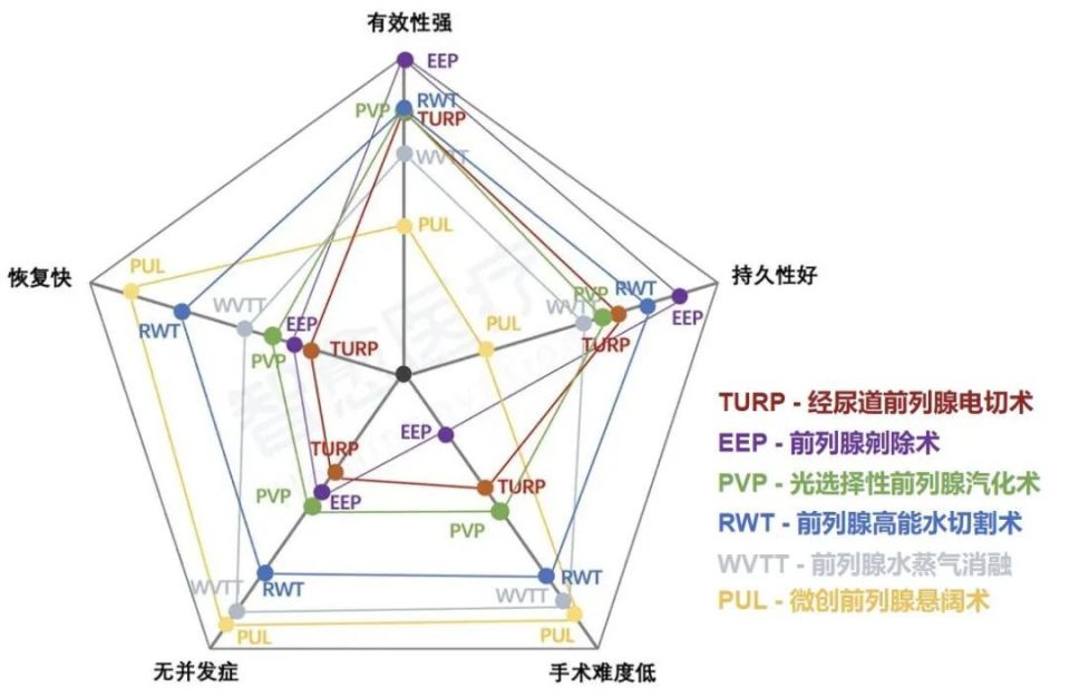 正常肾图曲线图片图片