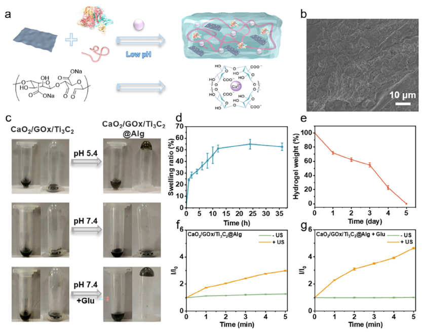 医用抗菌水凝胶怎么用南京工业大学AFM：新型可注射水凝胶为糖尿病脓肿治疗提供级联抗菌新策略_https://www.jmylbn.com_新闻资讯_第5张