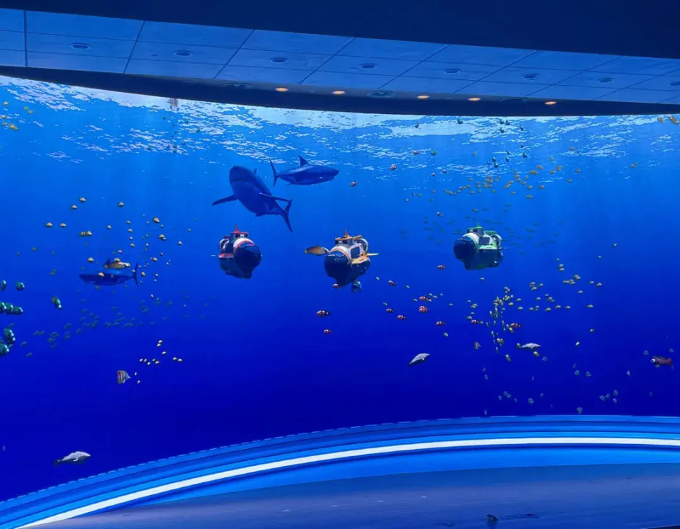 济南把大海搬来了?会玩的年轻人都在这!