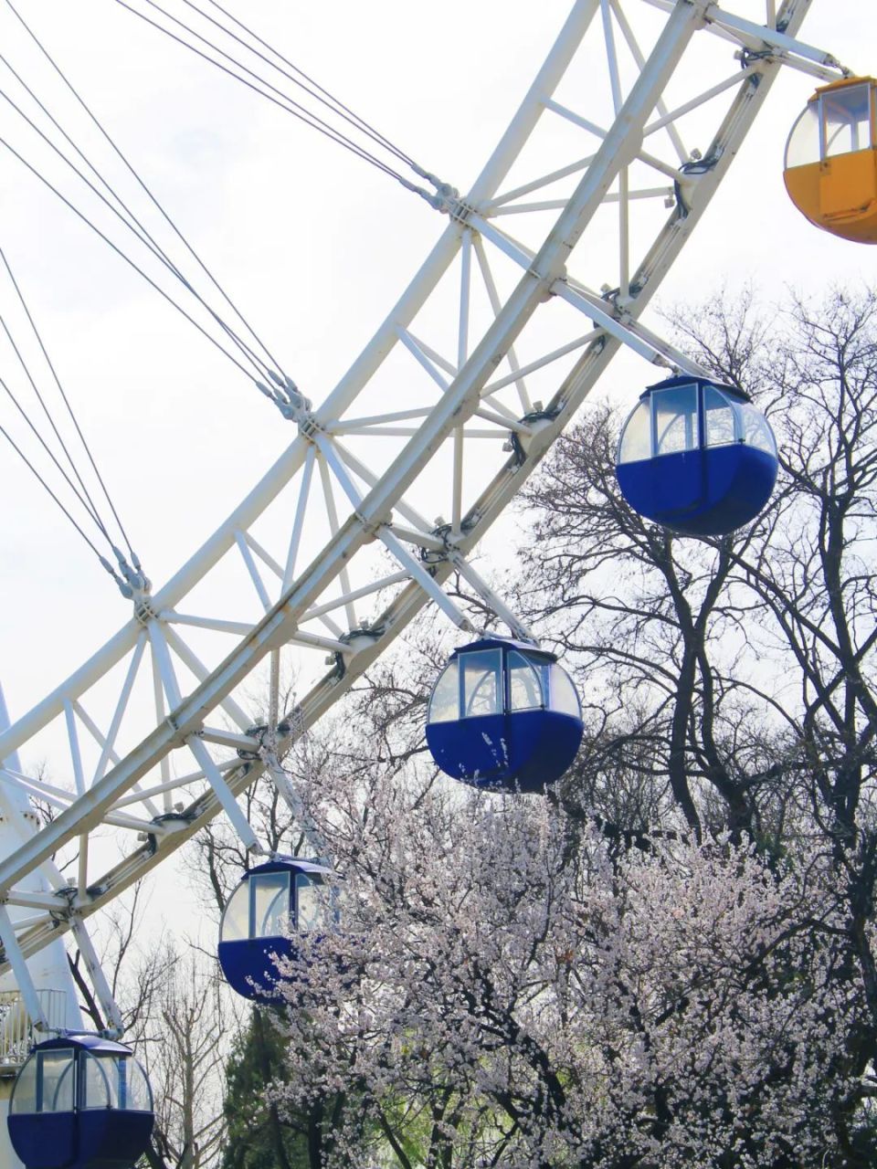 漫步南二环,南城人民自己的citywalk乐园_腾讯新闻