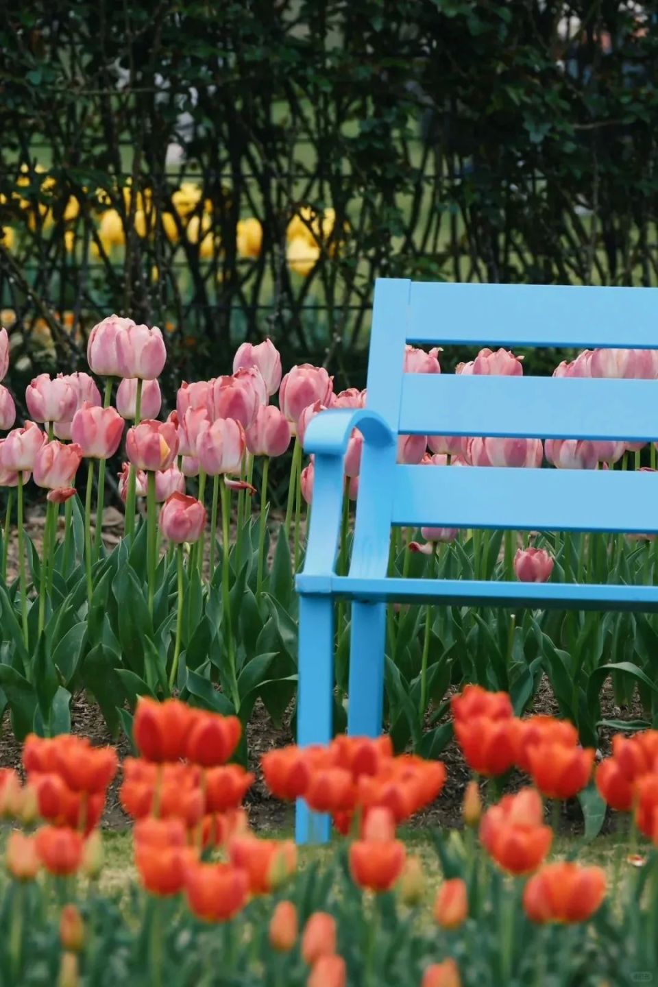 打工人的精神快充,就在这些一眼惊艳的公园