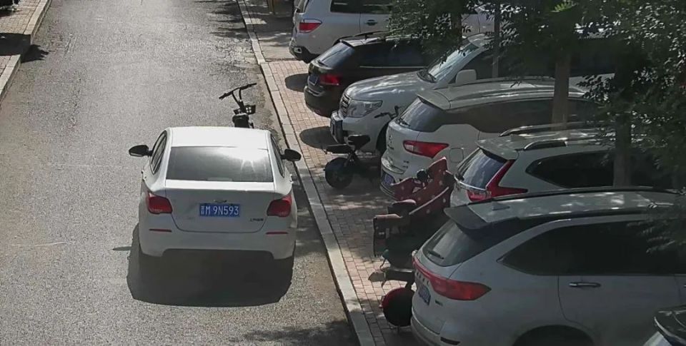 海南24辆车违停!