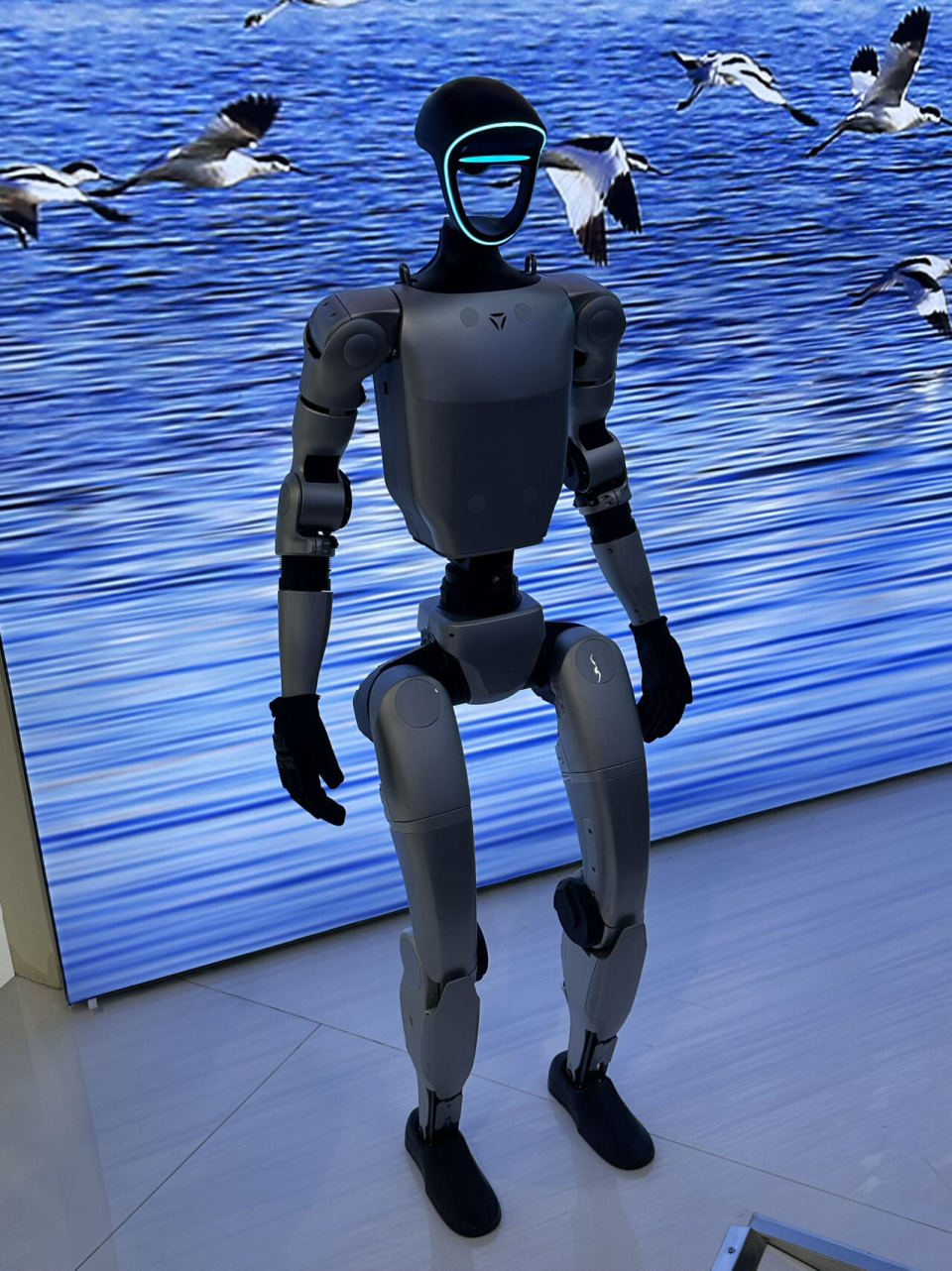 人形机器人抢镜数字中国建设峰会 ai智能体加速"各显神通"