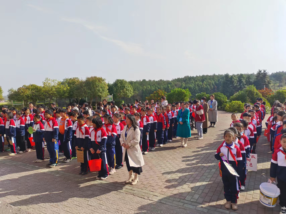 大岗中心小学开展树木认养活动_腾讯新闻