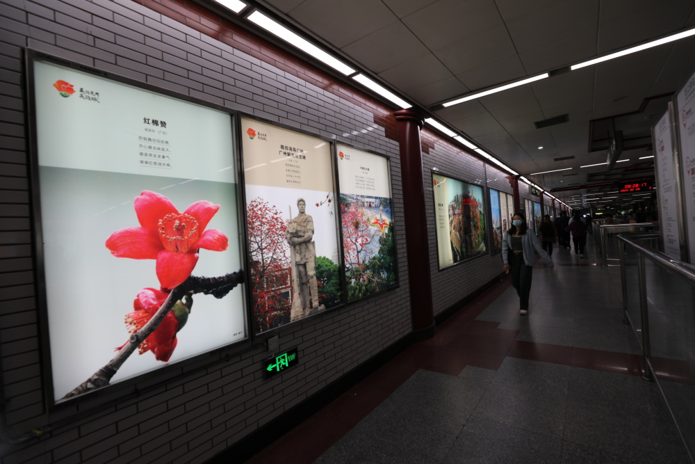 "英雄花开英雄城",广州地铁红色绘画摄影展在农讲所站发布_腾讯新闻