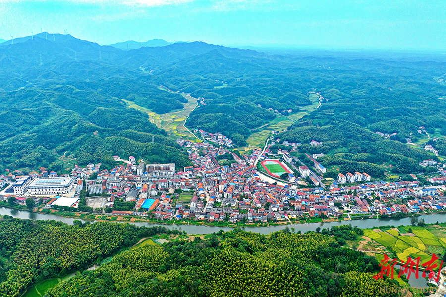 聂市镇:青山碧浪飘茶香 农旅融合续华章_腾讯新闻