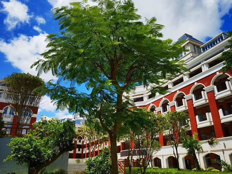 是福清历史最悠久的中学,现为省一级达标重点高中