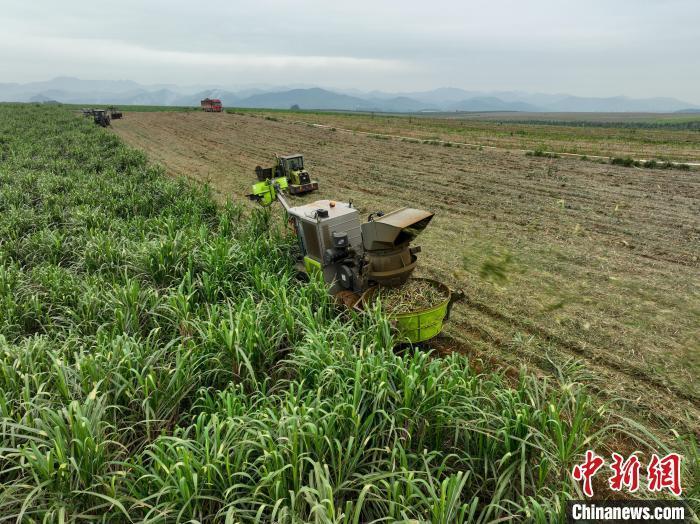 广西甘蔗春耕牵手无人化驾驶农场用上效率倍增器