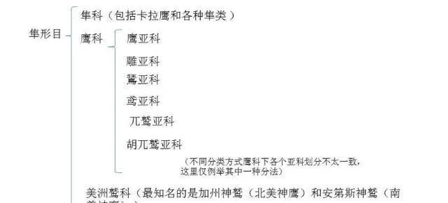 别被外表的"潦草萌"骗了,它可是霸气侧漏的"猫王"!