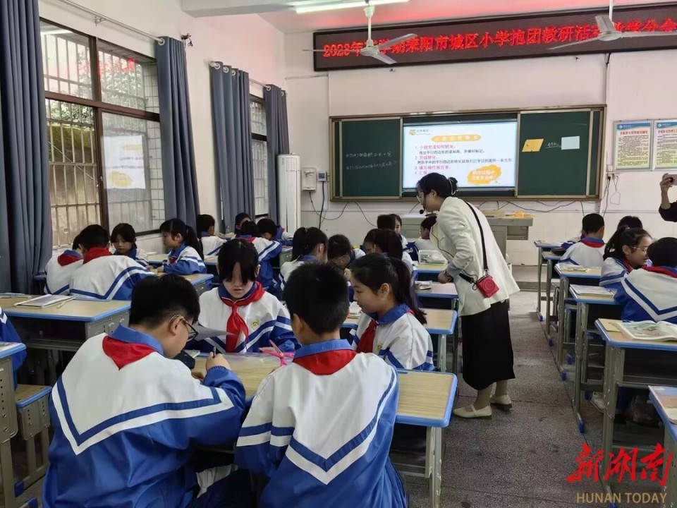 耒阳若兰小学图片