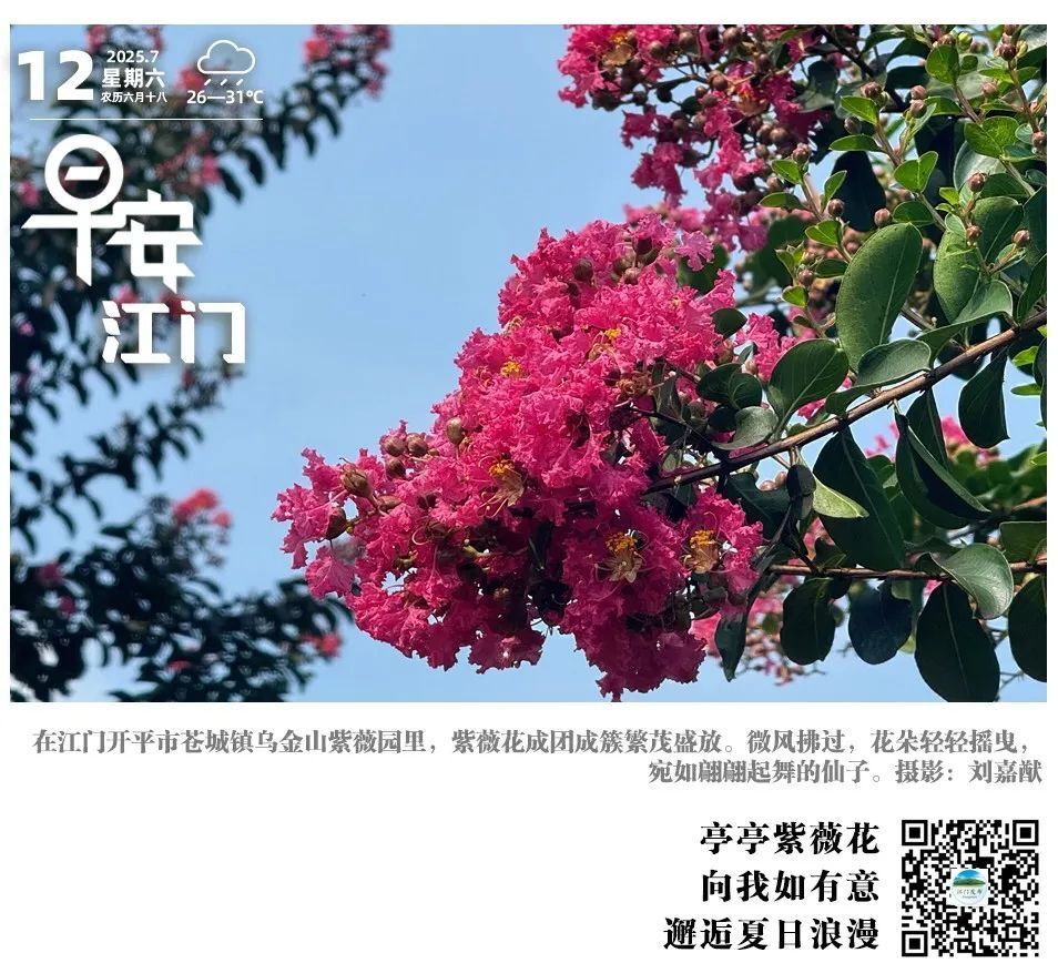 我市夺得2025年广东省青少年水球锦标赛首金丨早安，江门