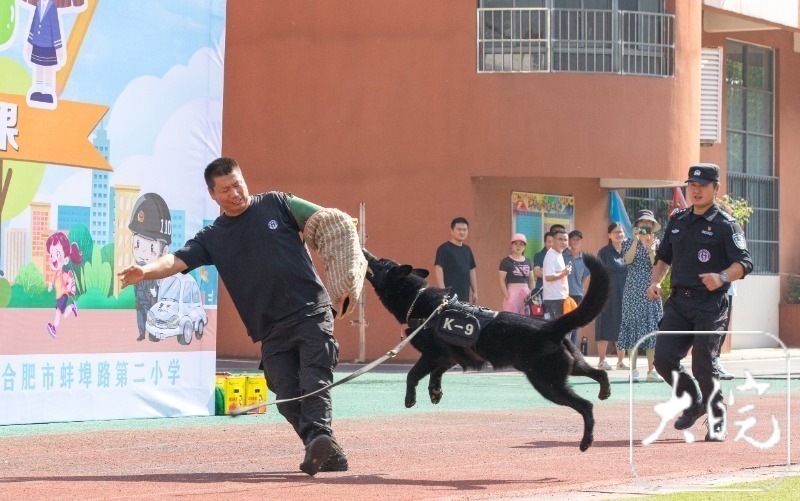 特警,黑豹突击队,警犬齐上阵    开学第一课,警察叔叔讲安全
