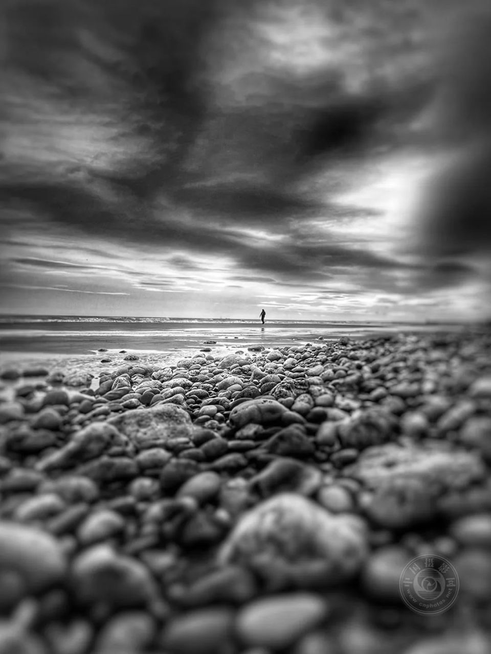 中国摄影网曹崇俊获奖,2024年第14届