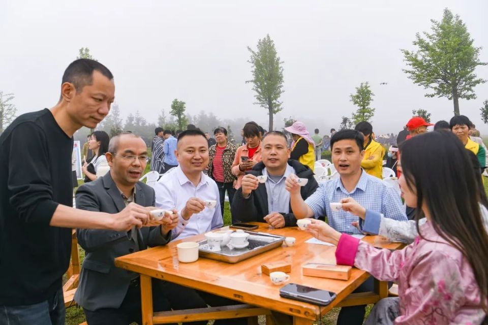 【遇见春茶】今天,安溪开茶喽!