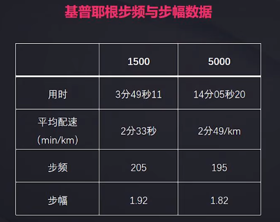 步频步幅配速表图片