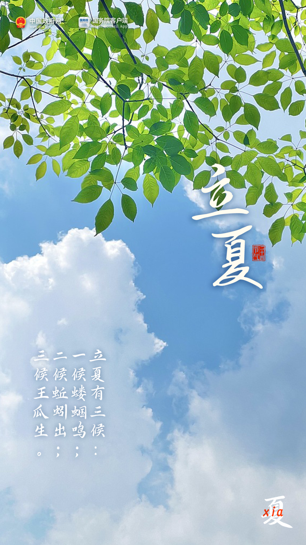 今日,立夏!