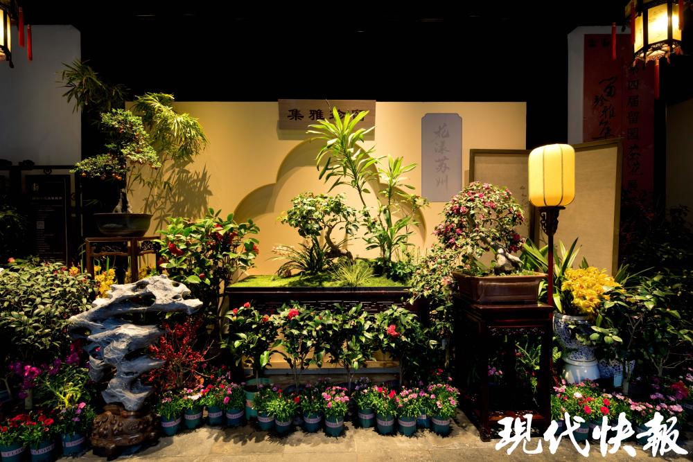 近50场精品活动等你来！苏州官宣发布“我在春季游园林”系列活动_腾讯新闻