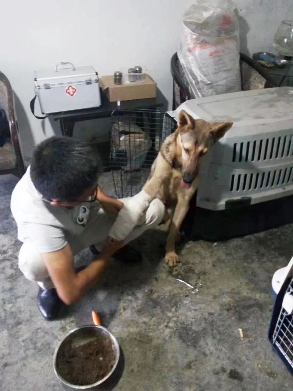 训犬员张健:别样的"战友情"诠释独特的"藏蓝梦"