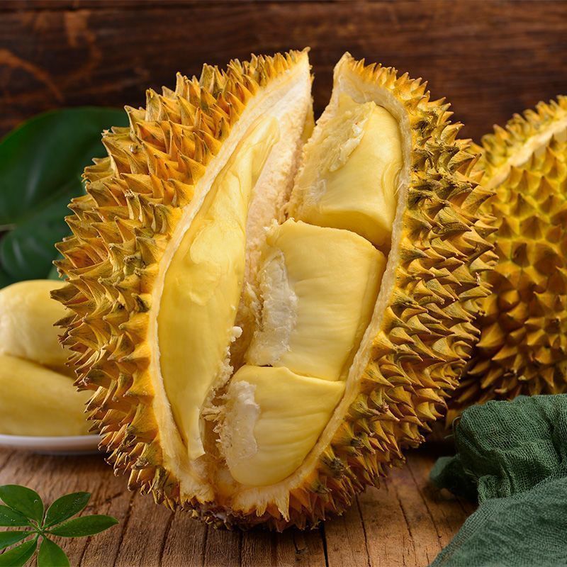 三亚的榴莲已经在树上了6月将大规模上市