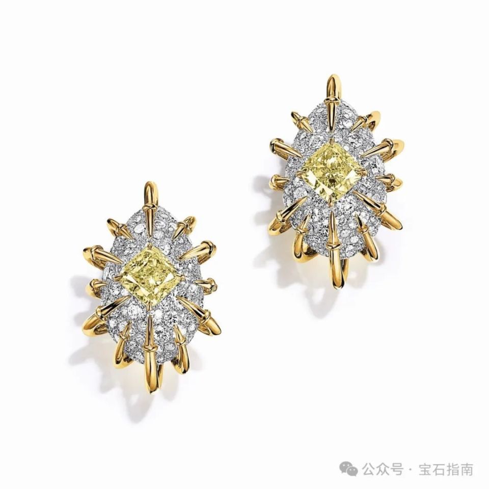 鉴赏|tiffany发布blue book 2024高级珠宝系列:太空之