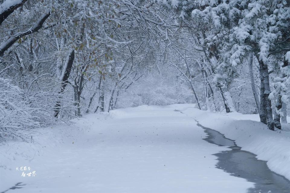 沈阳雪景图片大全唯美图片