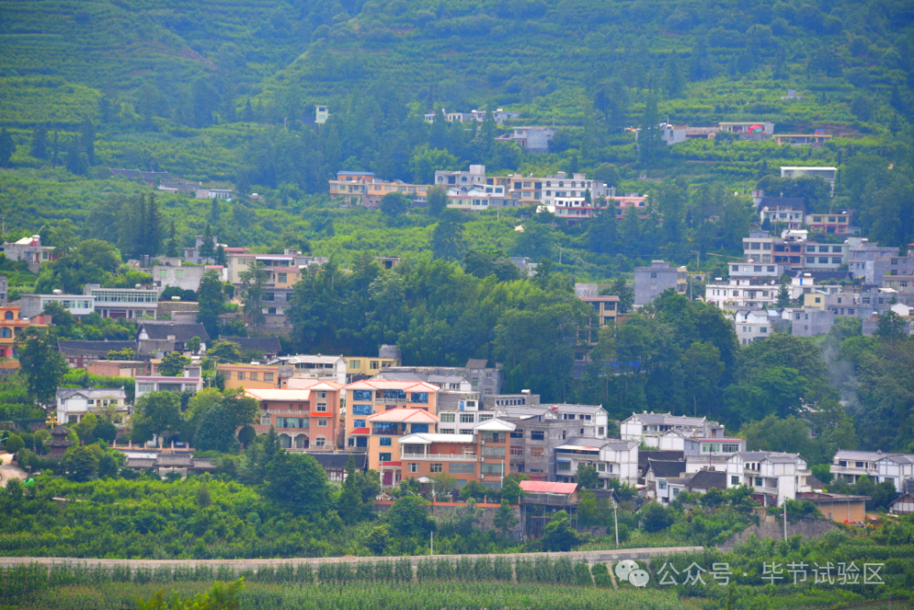 毕节高坪镇图片