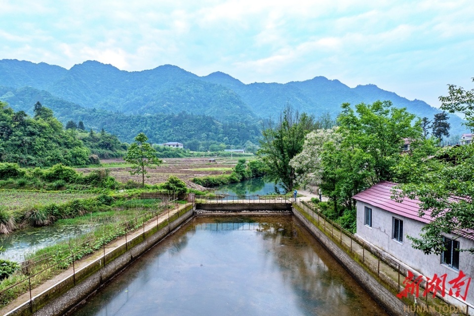 2023年,沅陵县云尚专业种养合作社与楠木铺乡合作建成庙王山村生态