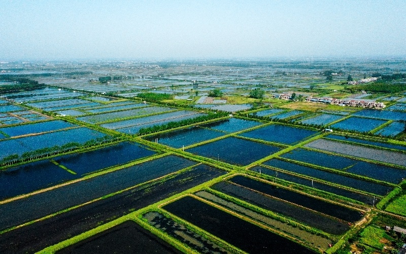 湖北潜江：加快打造“一城三基地” 奋力建设四化同步发展示范区_腾讯新闻