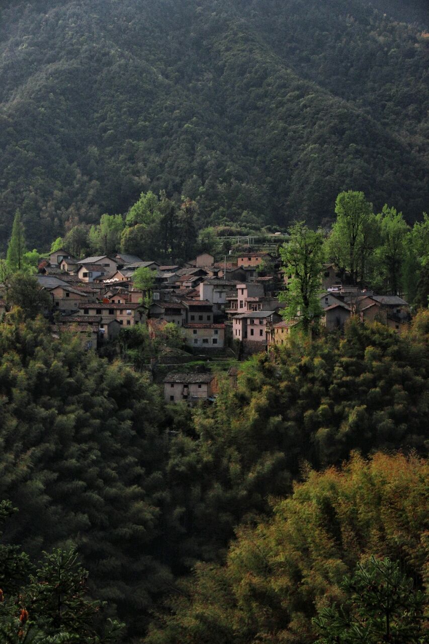 春游丽水:打卡松阳古村的春天