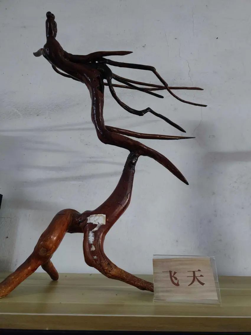 76岁农民醉心根雕艺术雕琢快乐生活