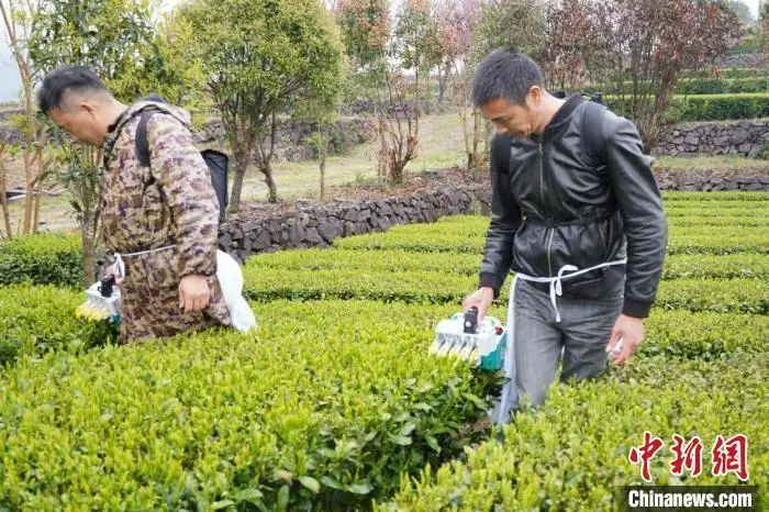 为什么宁静贴片这么贵聚焦浙里：中新社浙江新闻周报_https://www.jmylbn.com_新闻资讯_第44张