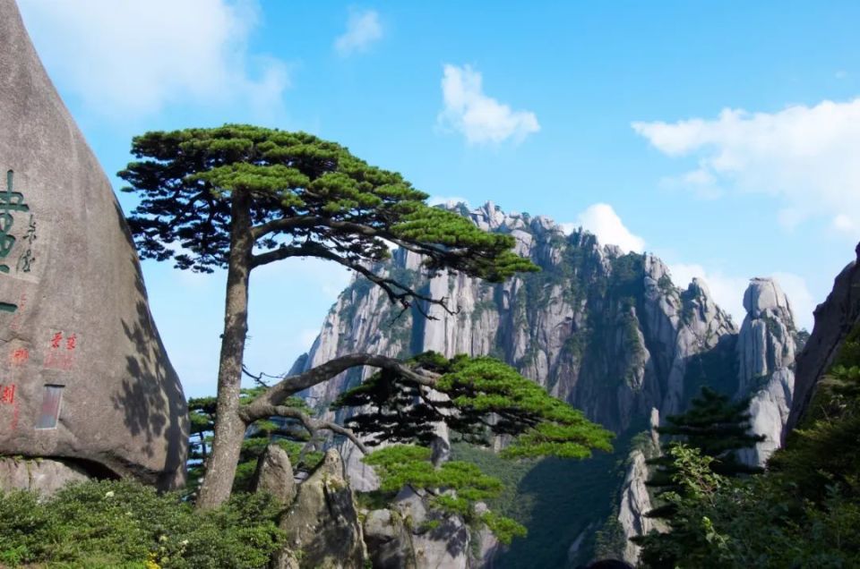 关于大黄山建设,他们说