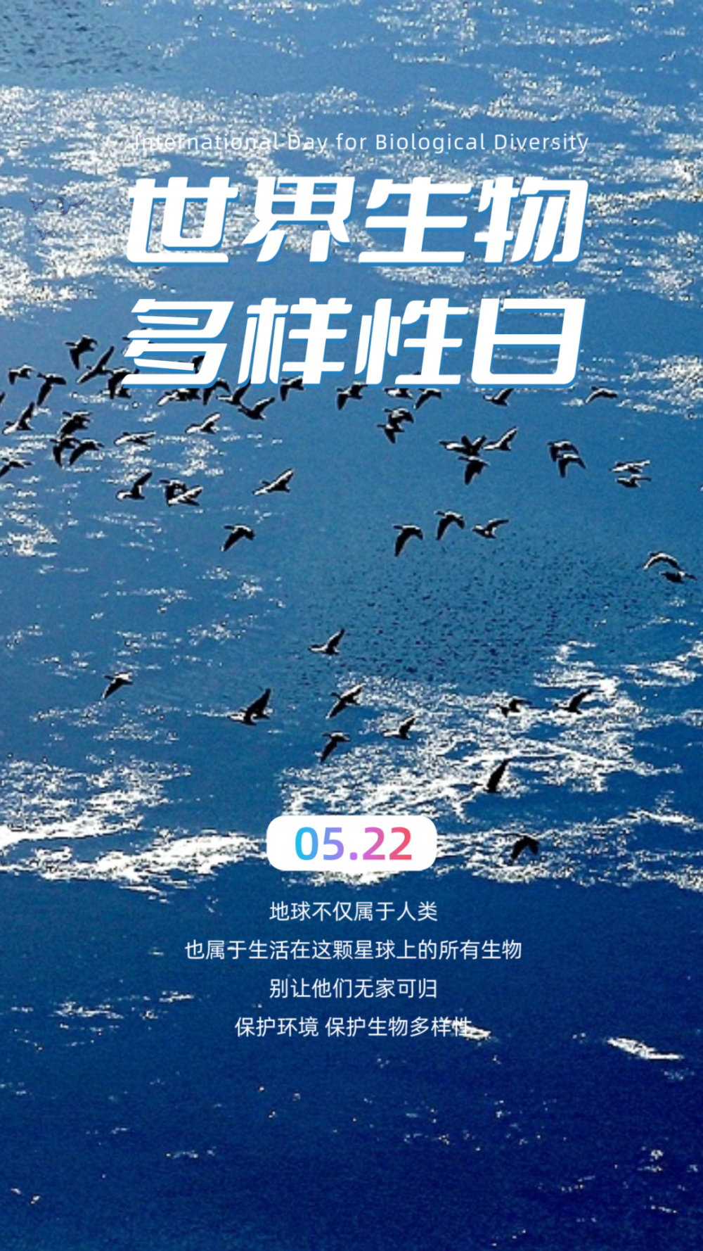 国际生物多样性日丨快接收有群小可爱给你发来了自拍