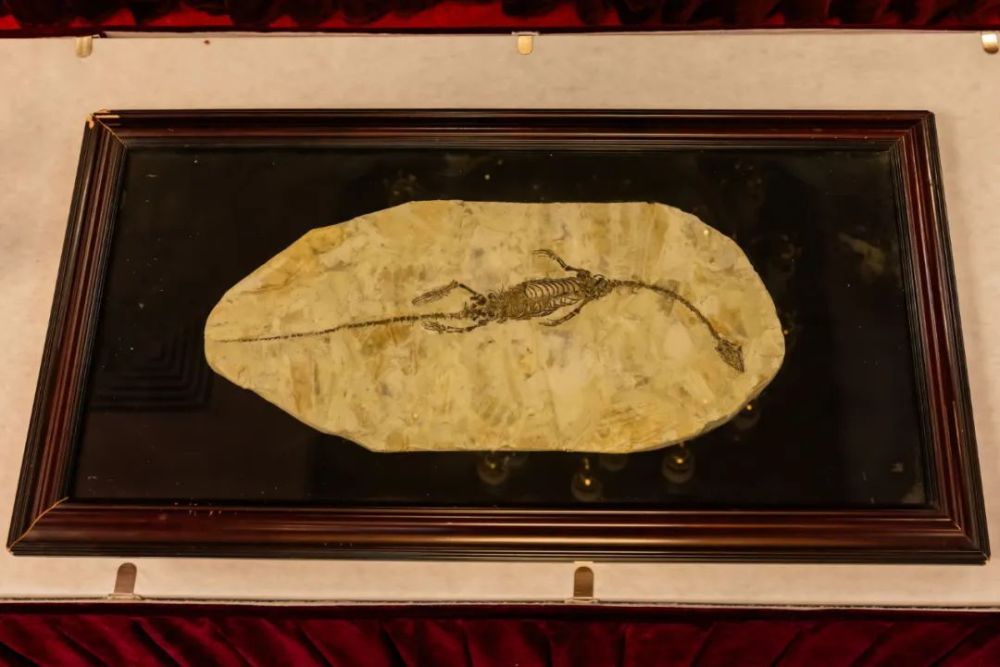 古董排行榜_凤凰资讯_资讯_凤凰网(2)