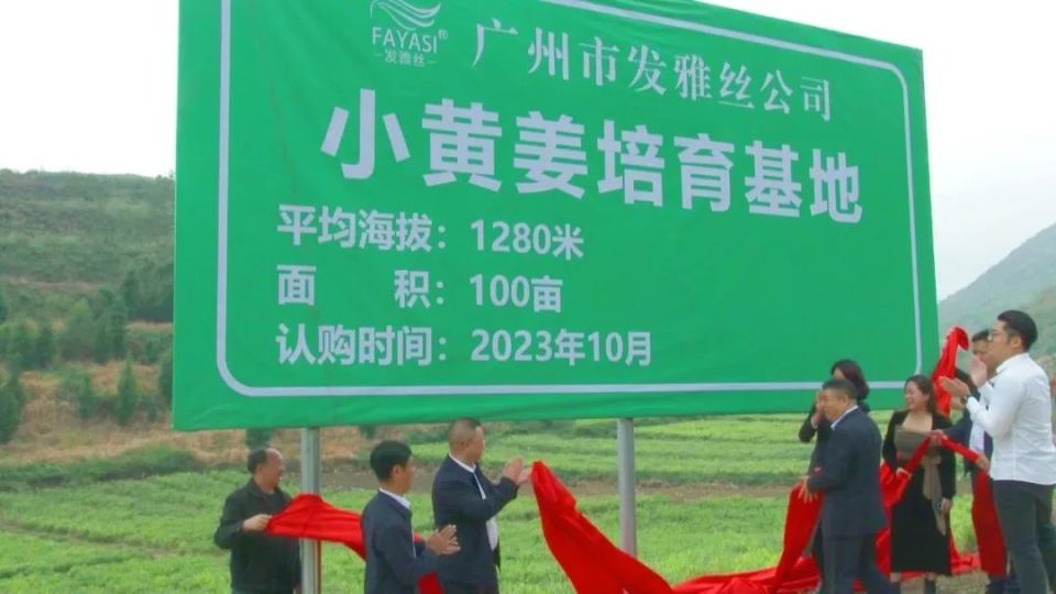 [南方生姜网-图片加载]