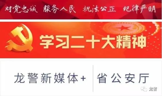 为此,伊春市公安机关以夏季行动为抓手,以三个再升级,全力守护