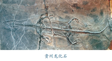 曲靖文物志(七)