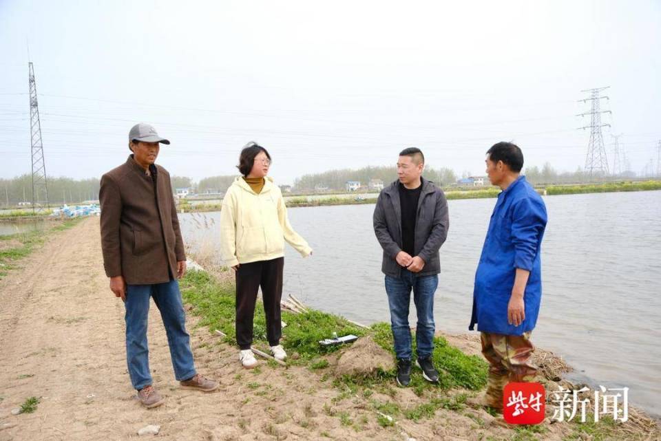 连云港灌南连片稻虾田勾勒水上春耕图