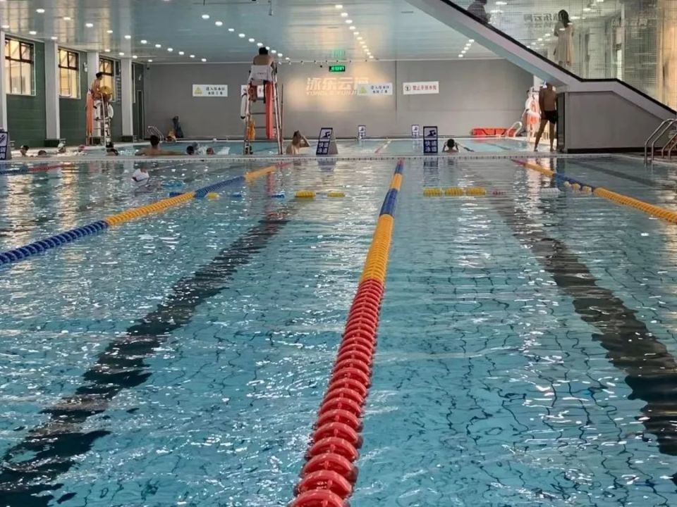 快来中山街道这些宝藏游泳馆