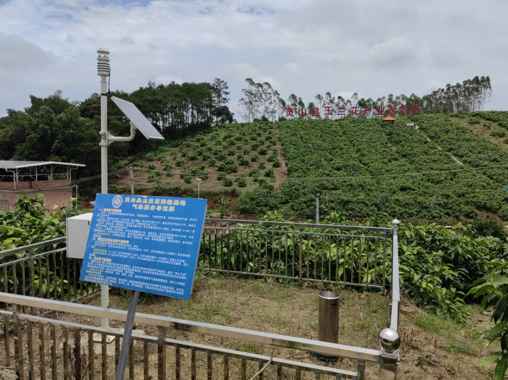 专报外,我们还在白兰花产业基地建设气象站,搭建大数据系统,在伯劳镇